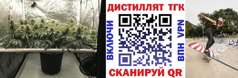 Дистиллят ТГК THC oil  Купить где  Благодарный 