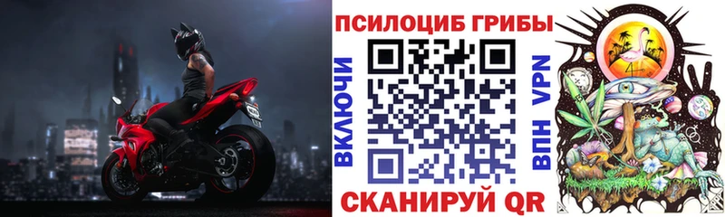 Купить где Благодарный Псилоцибиновые грибы мухоморы