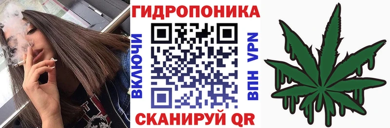 Купить закладки  Благодарный  Конопля семена 